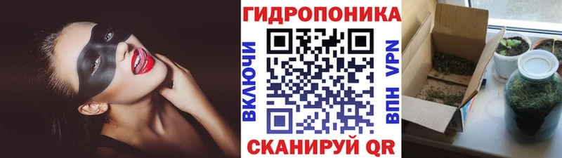 Бошки марихуана конопля даркнет клад Отрадный